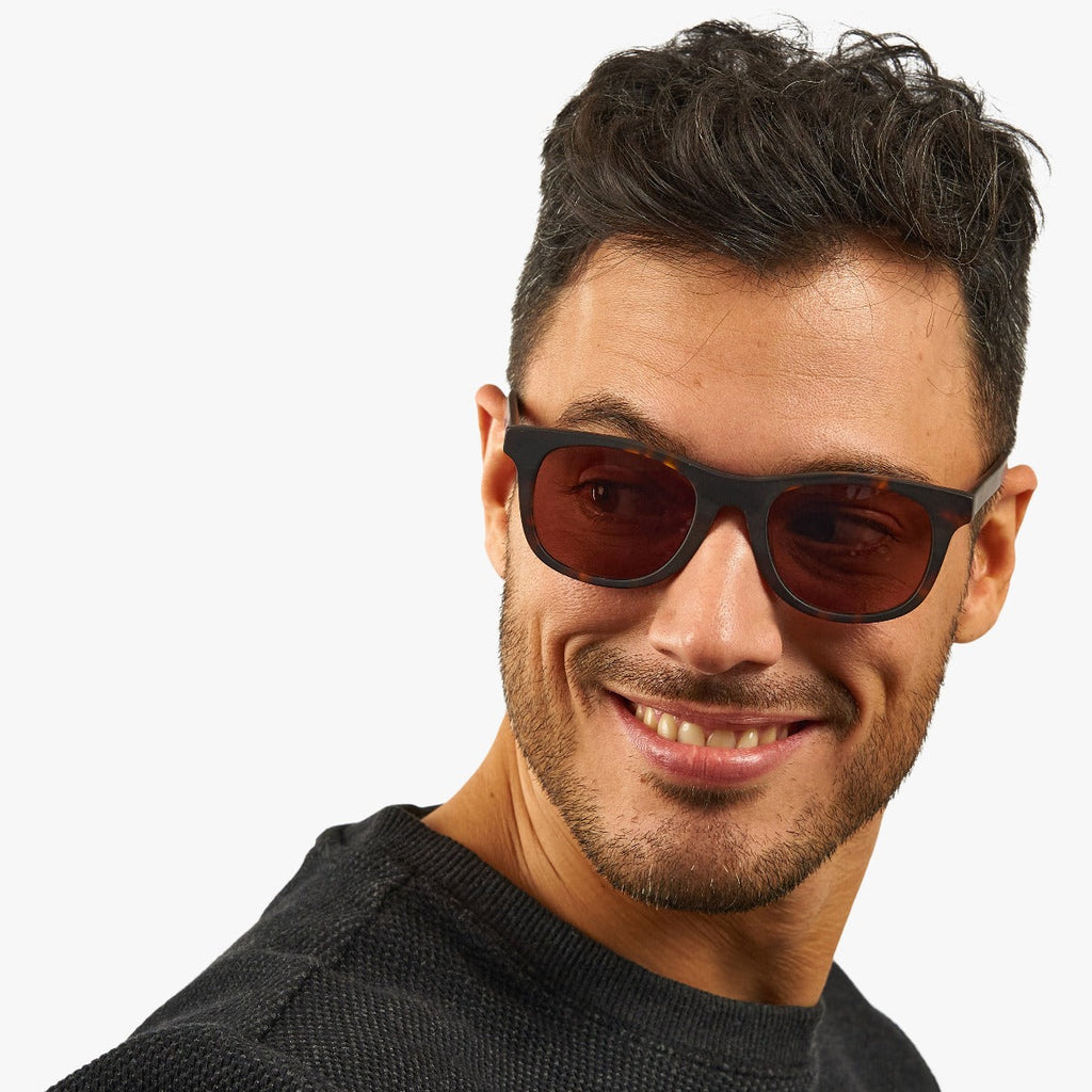 malmo dark turtle sunglasses - luxreaders.se