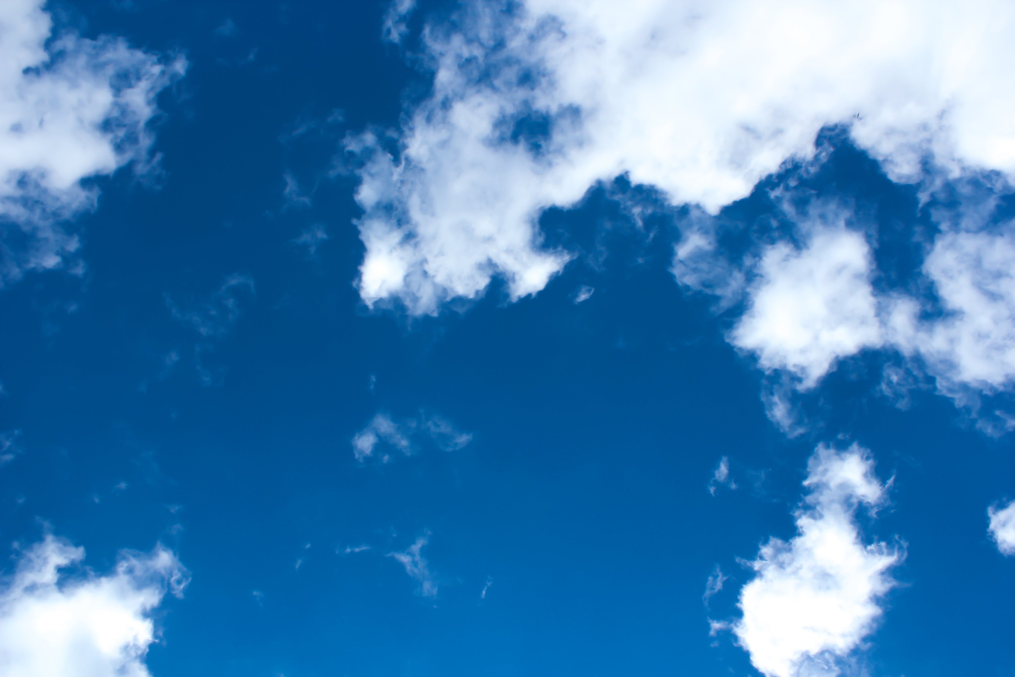 bright-blue-sky-dotted-with-fluffy-white-clouds.jpg
